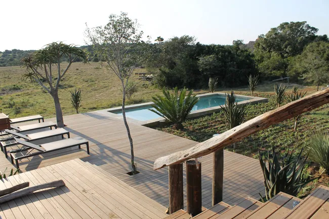 Amakhala Bush Lodge - 4